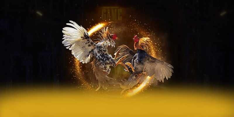 8XBET - Đội ngũ hỗ trợ khách hàng hoạt động 24/7