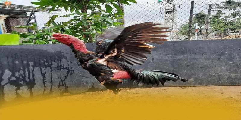 8XBET - Nền tảng cá cược có giấy phép quốc tế đáng tin cậy nhất 8XBET - Nền tảng cá cược có giấy phép quốc tế đáng tin cậy nhất